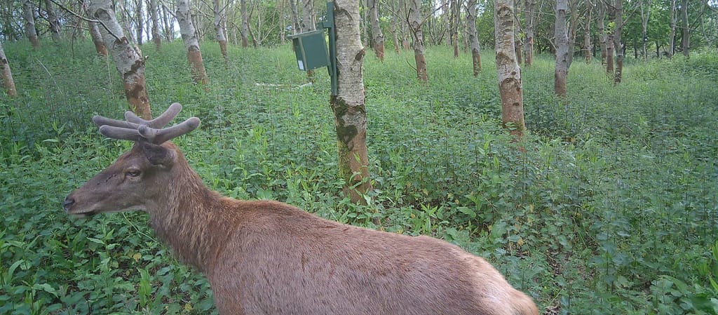 Growing Connections: Our Viper Woods Project Unites Staff, Schools, Locals, and Nature